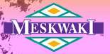 Website Link