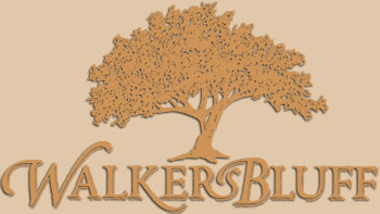 Website Link