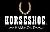 Website Link
