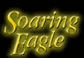 Website Link