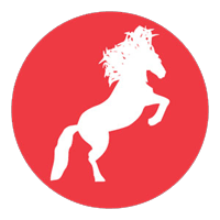 Website Link