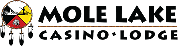 Website Link