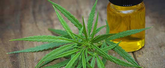 St. Croix Chippewa Hemp