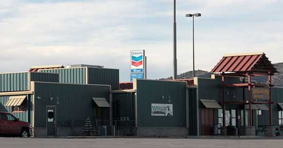 Ely Shoshone Cannabis